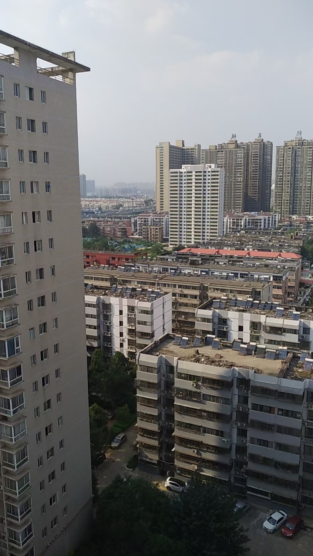 白金都会实景图